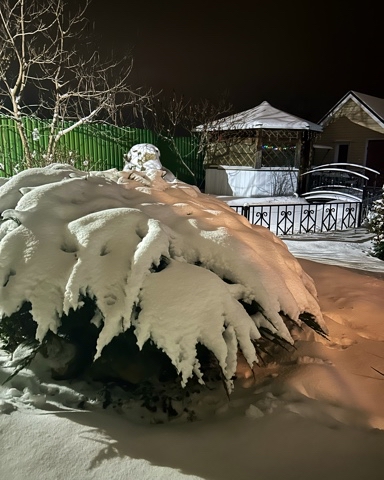 oksanka_govorova в LOOKY. . Снег….снова за окном...