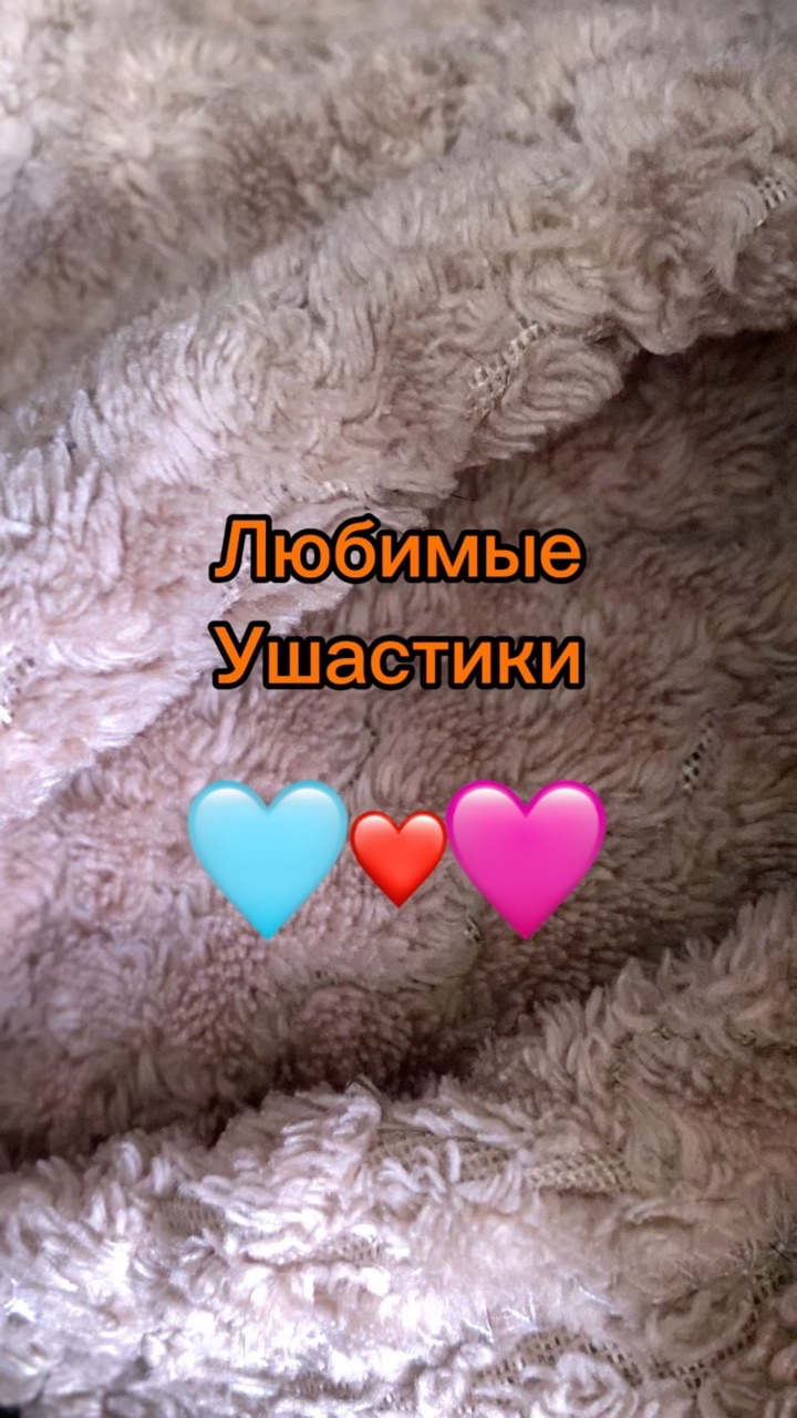 _bulldog__family_ в LOOKY. . Любимые красавцы🩵❤️...