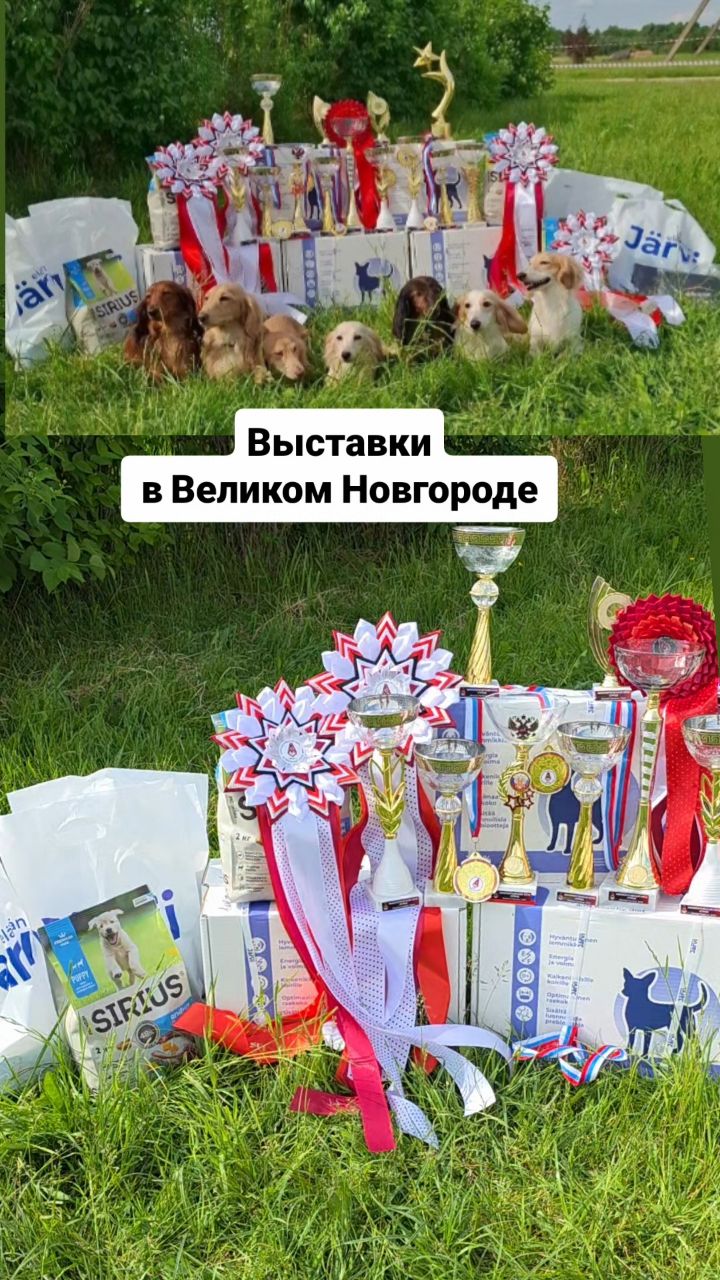 taksa_best_irisson в LOOKY. . 