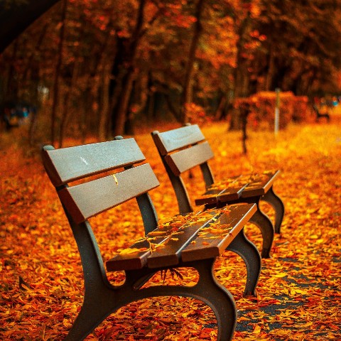 behnaz в LOOKY. . i love autumn very m...