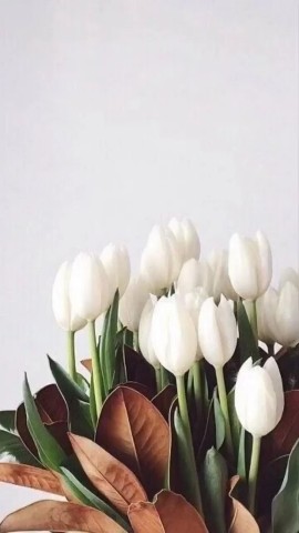 Looky_1692281079458 в LOOKY. #подарки_от_гринвей. До праздника осталос...