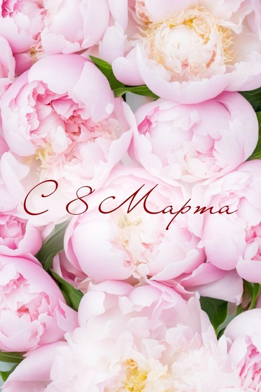#8марта