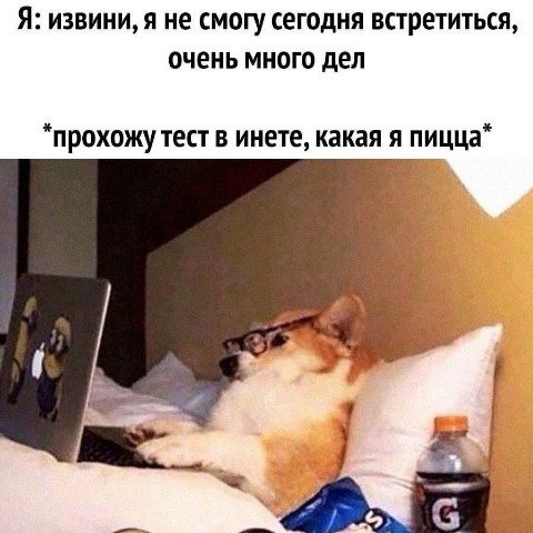 Хи-хи Ха-ха в LOOKY. #дрозд,#птица,#юмор,#шутки,#смех,#мем,#мэм. Ну ты и дрозд.. 🐦 #...