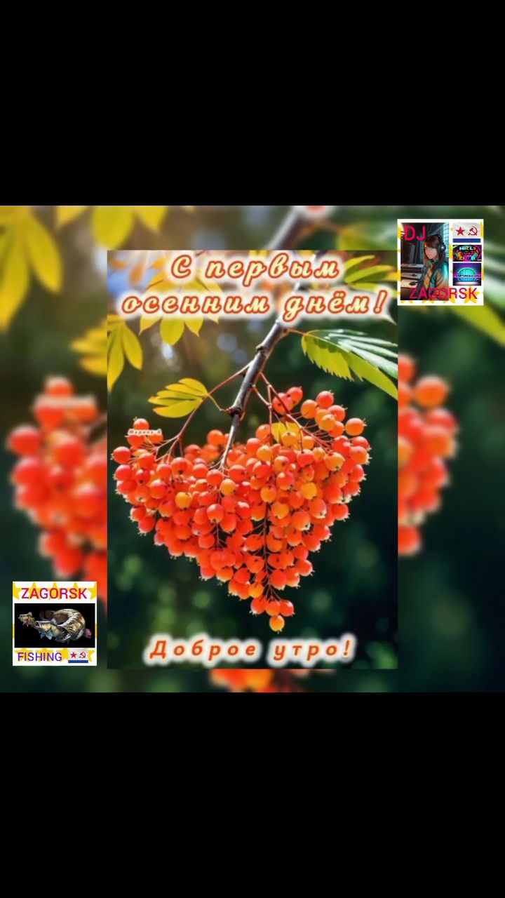 Looky_1715230810391 в LOOKY. . 