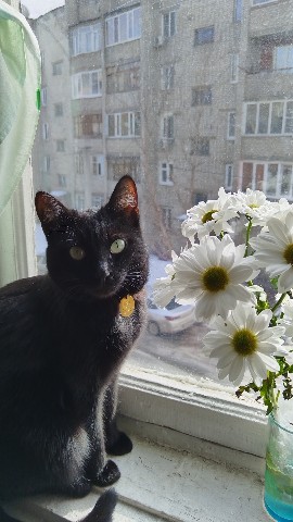 Looky_1705320123740 в LOOKY. . ПРИВЕТ,ДОРОГИЕ ДРУЗЬ...