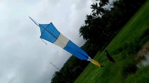 Shadee_The_Chaos в LOOKY. #lovekites. Kite 💚
[#kite](kite...