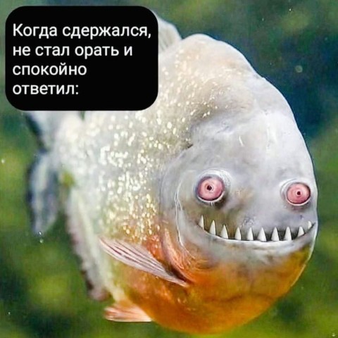 Агата Chaos в LOOKY. . Типичные рыбы. 

Рыб...