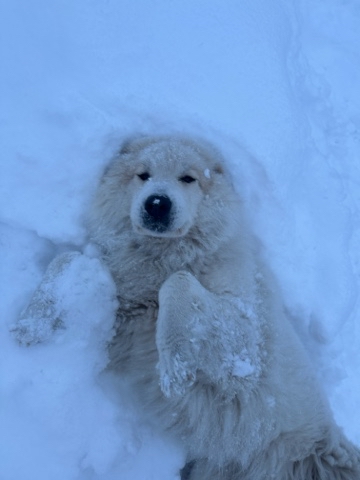 Looky_1712977567678 в LOOKY. . Всем привет от Моник...