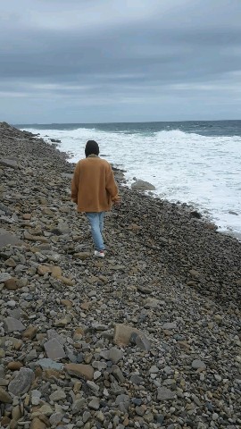 Looky_1698317046520 в LOOKY. . В процессе поиска ма...