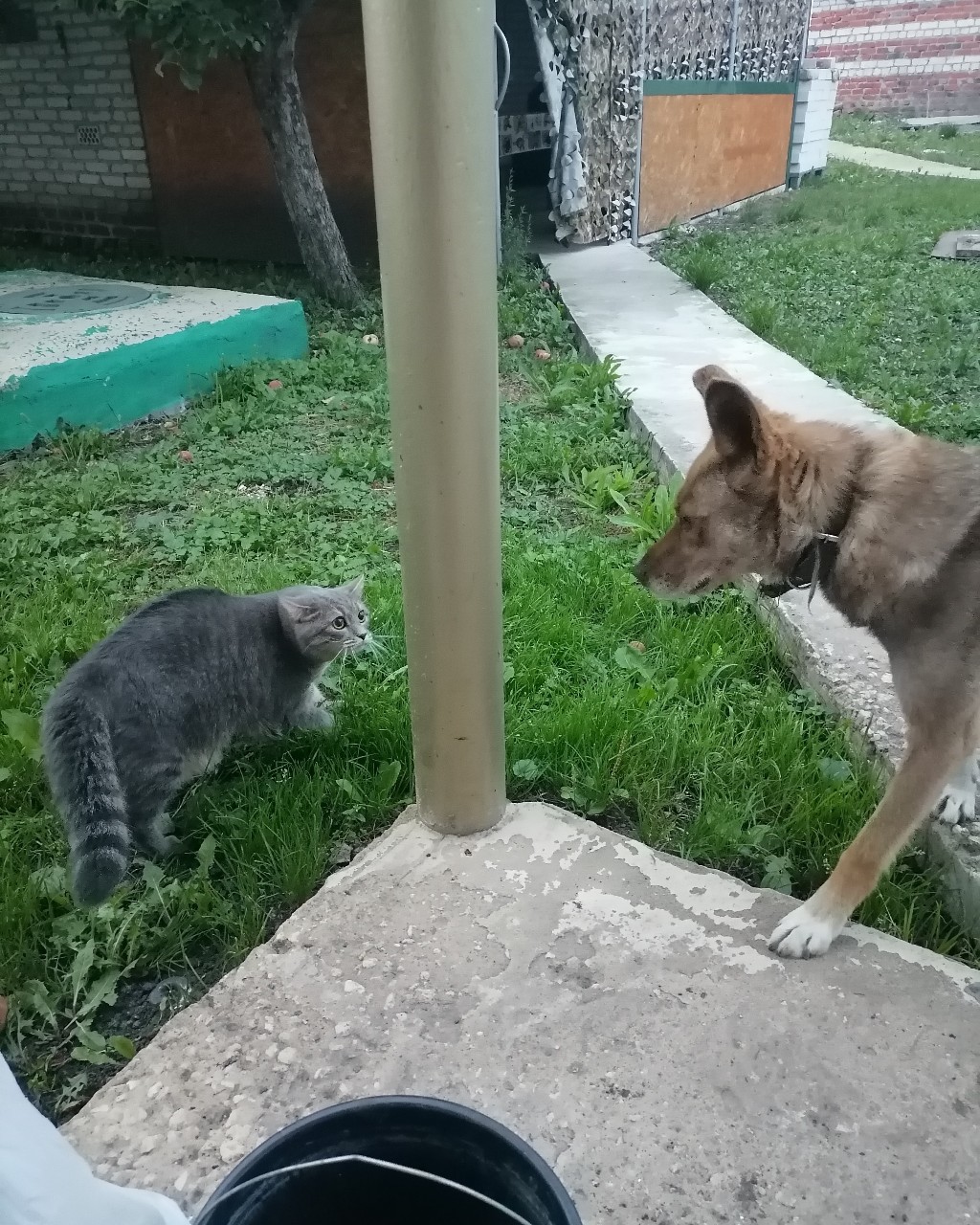 ИринаМилая in LOOKY. . Первое знакомство с ...