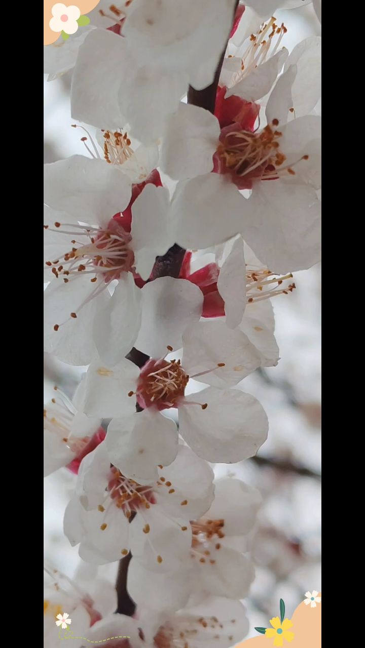 xah_6atoh в LOOKY. #Евпатория,#Крым
,#ХАНБАТОН,#XAH6ATOH,#Весна. Вот такой день, 31 м...