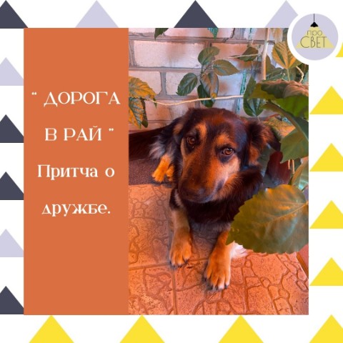 Светлана в LOOKY. . Умер человек. Его пё...