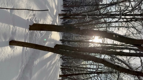 Lazy_rules в LOOKY. . Замедлись и почувств...