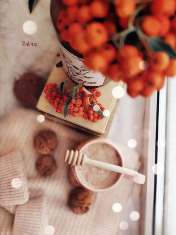 Алёна в LOOKY. #autumn,#осень,#видео,#still_life,#фото,#stilllife,#фотонатюрморт,#flatlay,#флетлей,#flatlaytoday,#раскладка,#видео,#video. ОСЕННИЙ ВЕЧЕР
______...