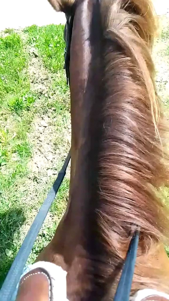 Ксинонис в LOOKY. . 