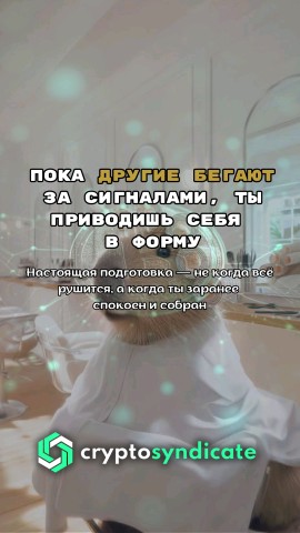 Zokir в LOOKY. #крипта,#риск,#психологиярынка,#мешок,#инвестмышление,#опыт,#стратегия,#crypto. Спокойствие — это не...