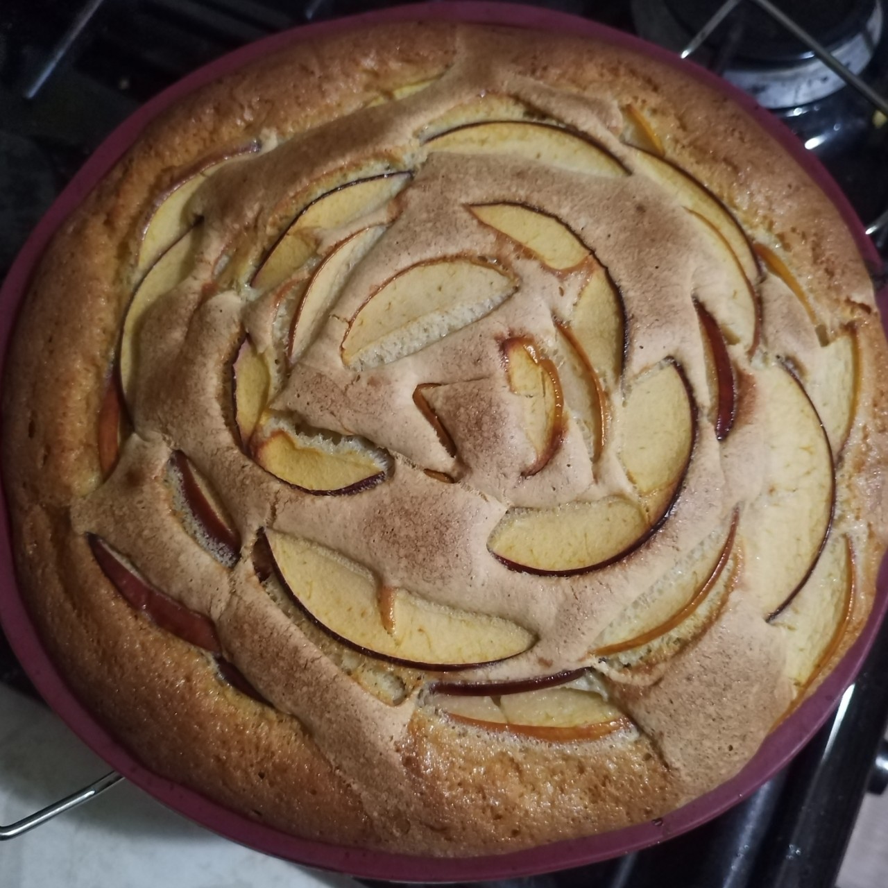 anastasiiachikhliaeva в LOOKY — фото 1