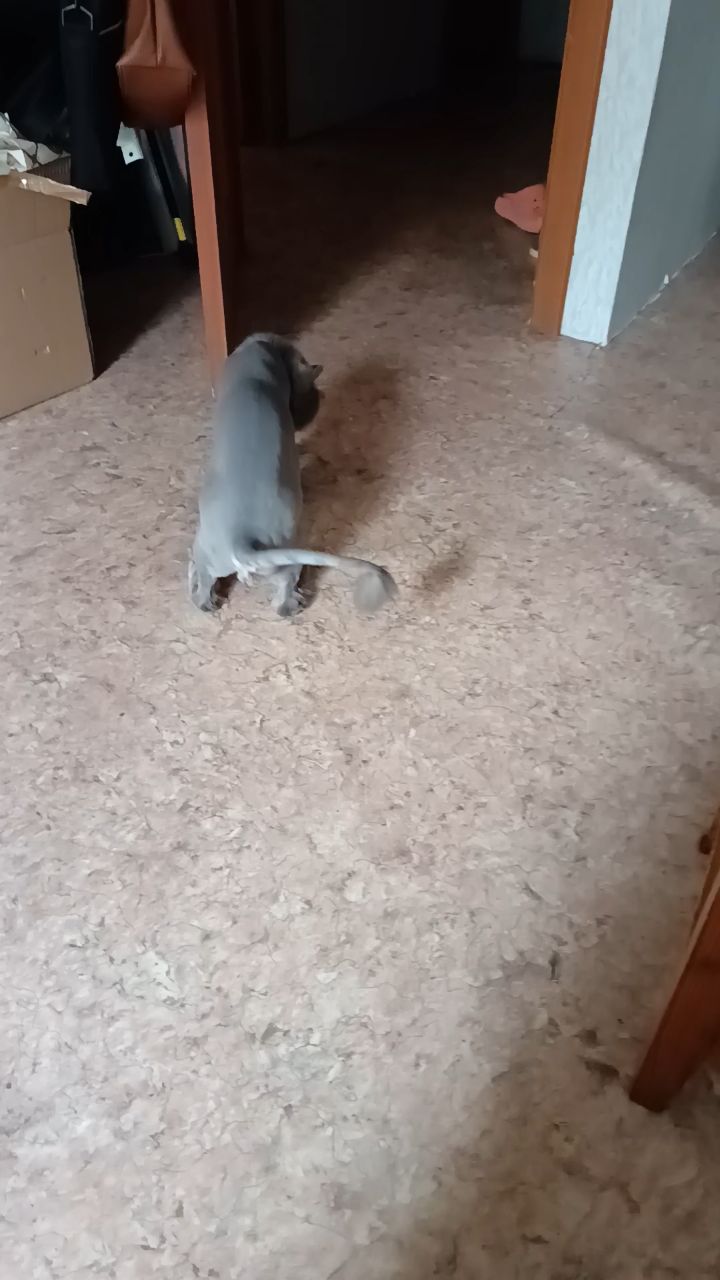 Александр в LOOKY. . 