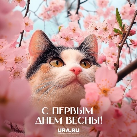 abatosova в LOOKY. . 