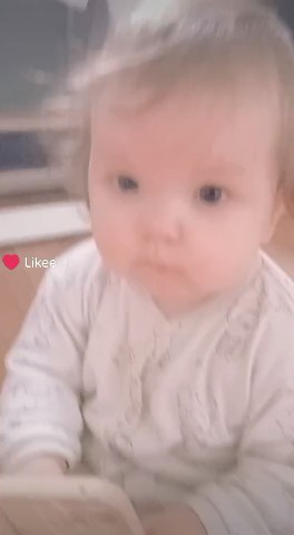 Рассветный Лис