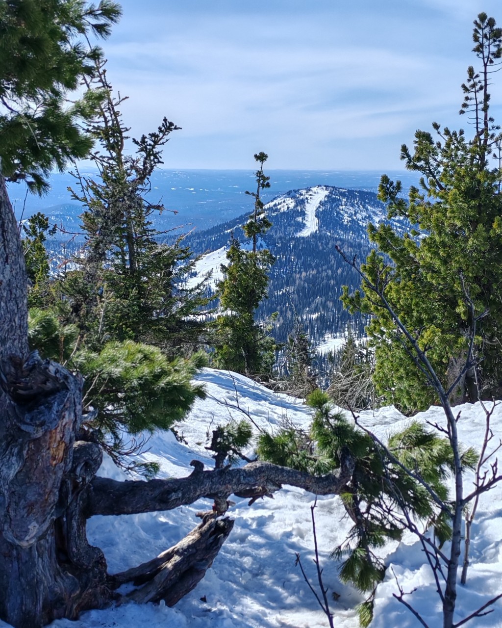 Vikilife in LOOKY. #горазеленая,#вайб,#секторЕ,#сноуборд. Шерегеш🤍
Придётся в...