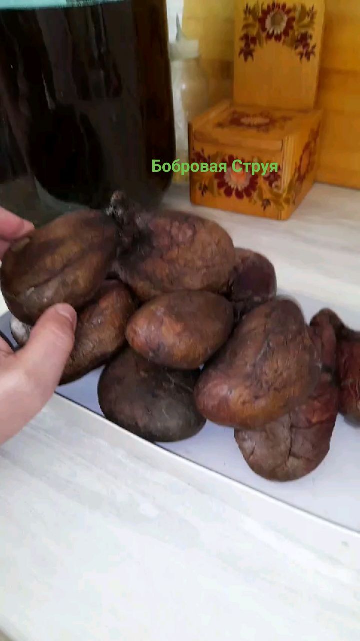 Бобровая Струя Настой-Вяленая in LOOKY. . Настойка Бобровая ст...