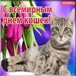 Наташа в LOOKY — публикация
