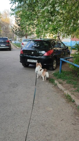 Юля Дарвин в LOOKY. #МойДарвин. [#доброеутро ](добро...