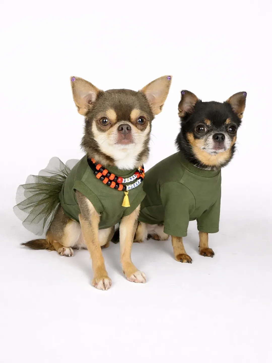 dog_vtrende_shop в LOOKY. #чихуахуа#йорк#шпиц#мальтипу#кавапу#тойтерьер#пражскийкрысарик#мальтезе#тойпудель#одеждадлясобак#одеждадлясобаки#одеждадлясобакмелкихпород#футболкадлясобак#адресник#адресникдлясобаки#украшениядлясобак#бусыдлясобак#адресникизсмолы#парныебраслеты#платьедлясобак#худидлясобак#свитердлясобак#минисобаки. Образ, который говор...