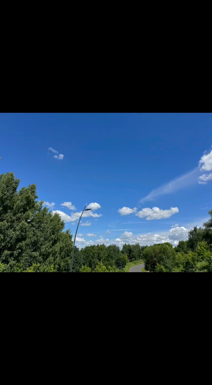 lyudmila_mishkoy в LOOKY. . ЖИЗНЬ ПРЕКРАСНА….рал...