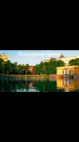 Тихий Котик в LOOKY — Замечательные места в Москве которые стоит посетить