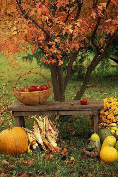 Looky_176556101524336 в LOOKY — публикация