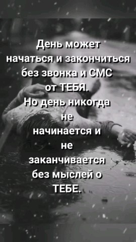 ВОЛК СЕРЫЙ в LOOKY — публикация