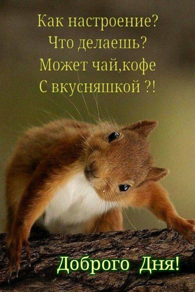 iri7254 в LOOKY — публикация