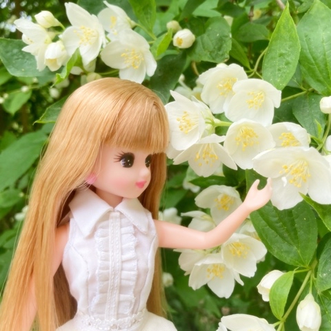 Airinora-Hime в LOOKY. . Ликка и жасмин [#lic...