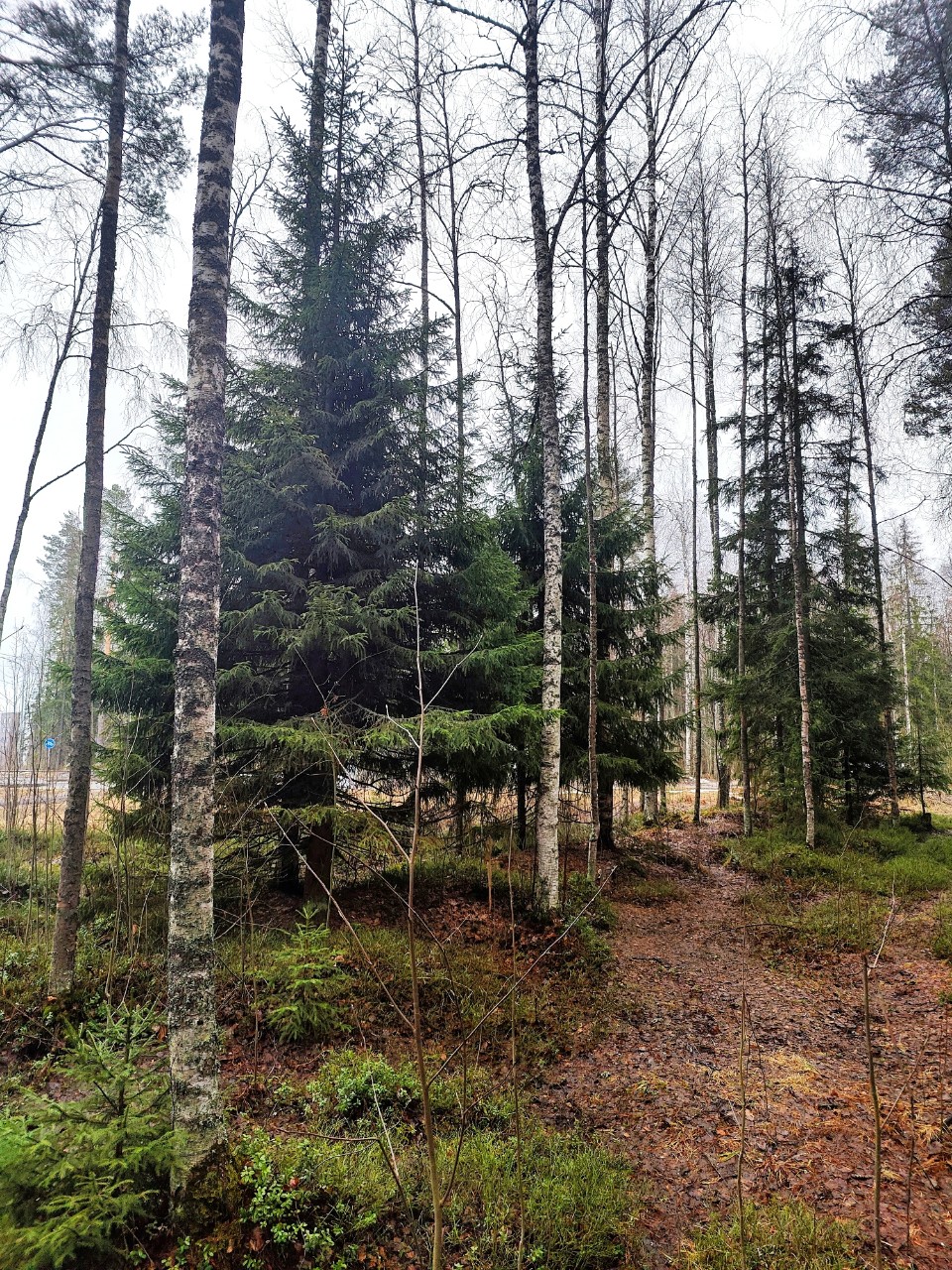 Виктор в LOOKY — фото 1