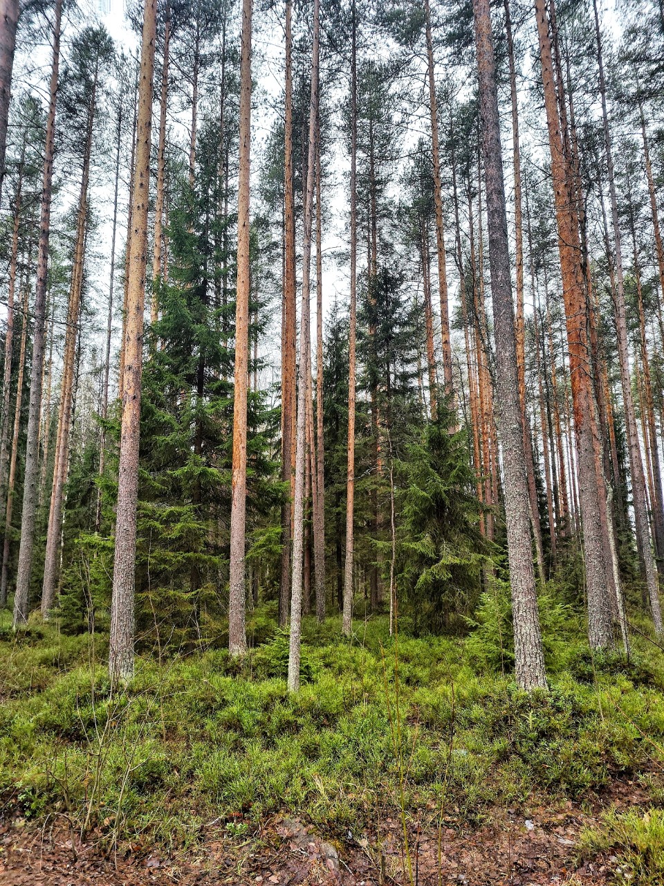 Виктор в LOOKY — фото 4