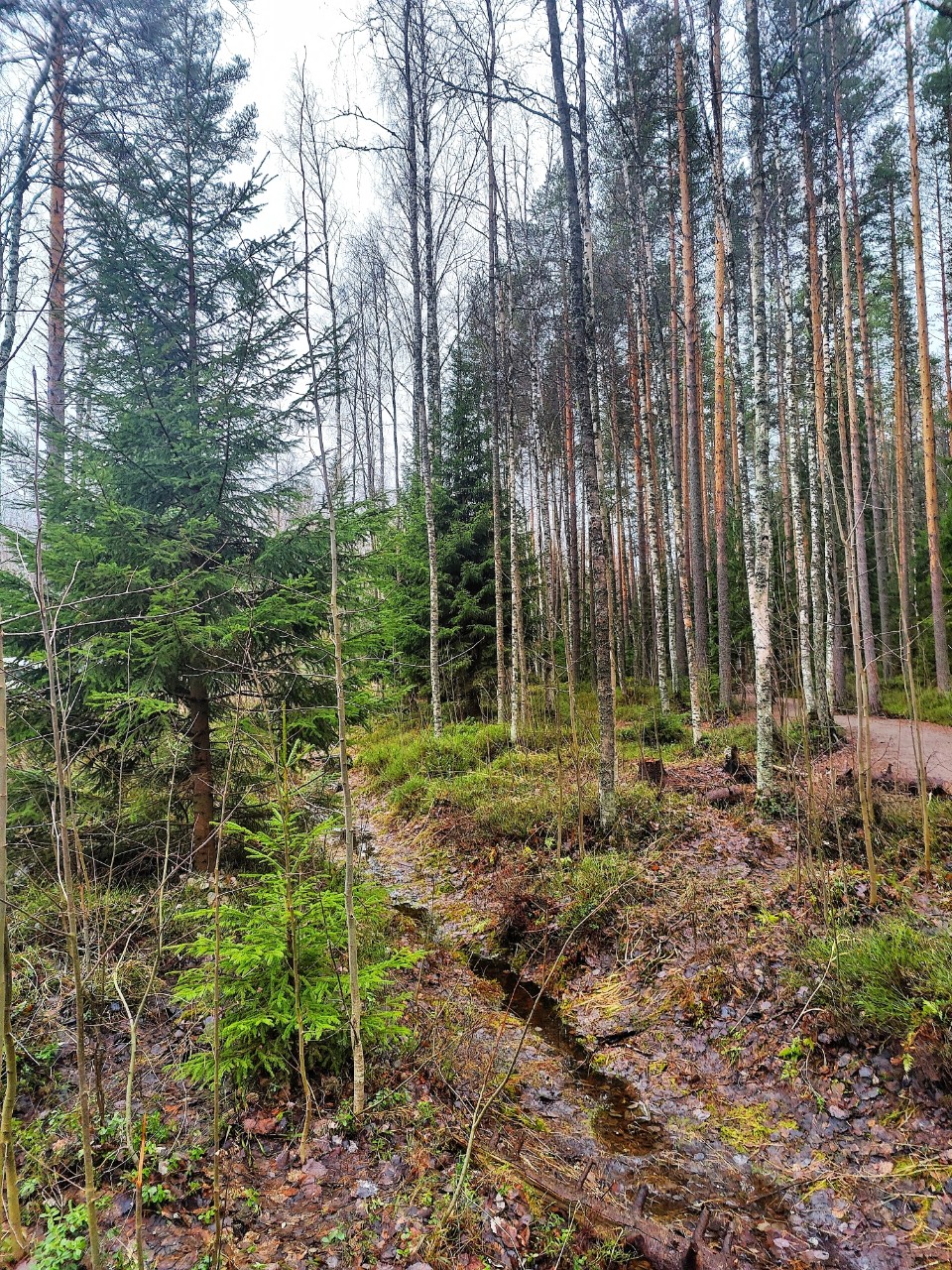 Виктор в LOOKY — фото 2