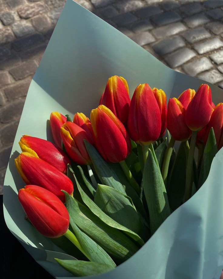 🌸🌸🌸 Милые, скромные, страстные, нежные, добрые и щедрые, практичные и воздушные, загадочные и открытые, самые невероятные, бесконечно очаровательные, удивительные и несомненно , самые красивые и любимые наши девочки‼️ да да ‼️ В любом возрасте мы девочки❤️в весенний день 8 марта желаем вам влюблять в себя всех вокруг, восхищать красотой тела и души, освещать внутренним светом тусклые будни родных и любимых людей! ‼️‼️Пусть лучистые улыбки украшают ваши лица, пусть сияние глаз будет ярче северного сияния, пускай тепло ваших душ растопит лед всех, кто с вами соприкасается! С праздником, дорогие наши красавицы❤️Пусть ваши дни будут наполнены живыми, яркими, сильными эмоциями и настоящим волшебством! ❤️Пусть каждая минута этого праздничного дня дарит радость и любовь! ❤️Пусть впереди ждет много всего хорошего, светлого и доброго! Яркой вам весны!❤️🌸🌸🌸🌸🌸🌸🌸🌸🌸🌸🌸🌸🌸🌸🌸🌸🌸🌸
Всех обняли, ваши Юлия и Марианна🥰

#8марта
#весна
