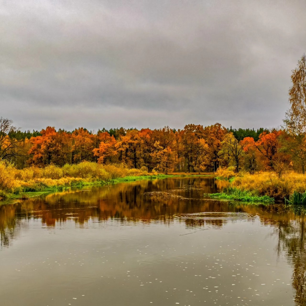 Mihnovets в LOOKY — [#nature](nature) [#photo](photo) [#photography](photography