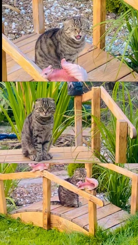 a_lili4ka в LOOKY. . Доброе пятничное утр...