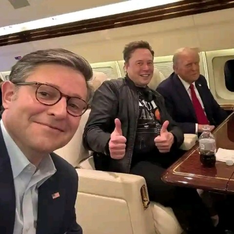 Elon musk в LOOKY. . 