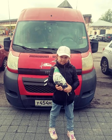 Vanlife shulz в LOOKY. . Путешествуем на авто...