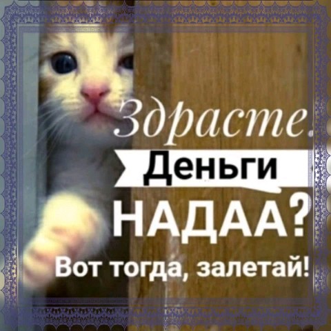 Looky_1678640075123 в LOOKY. . Предлагаю работу Меч...