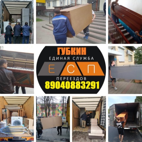 Looky_1711118420113 в LOOKY. . 🚚 Единая Служба Пер...