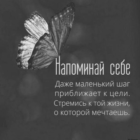 allausacheva108 в LOOKY. . 