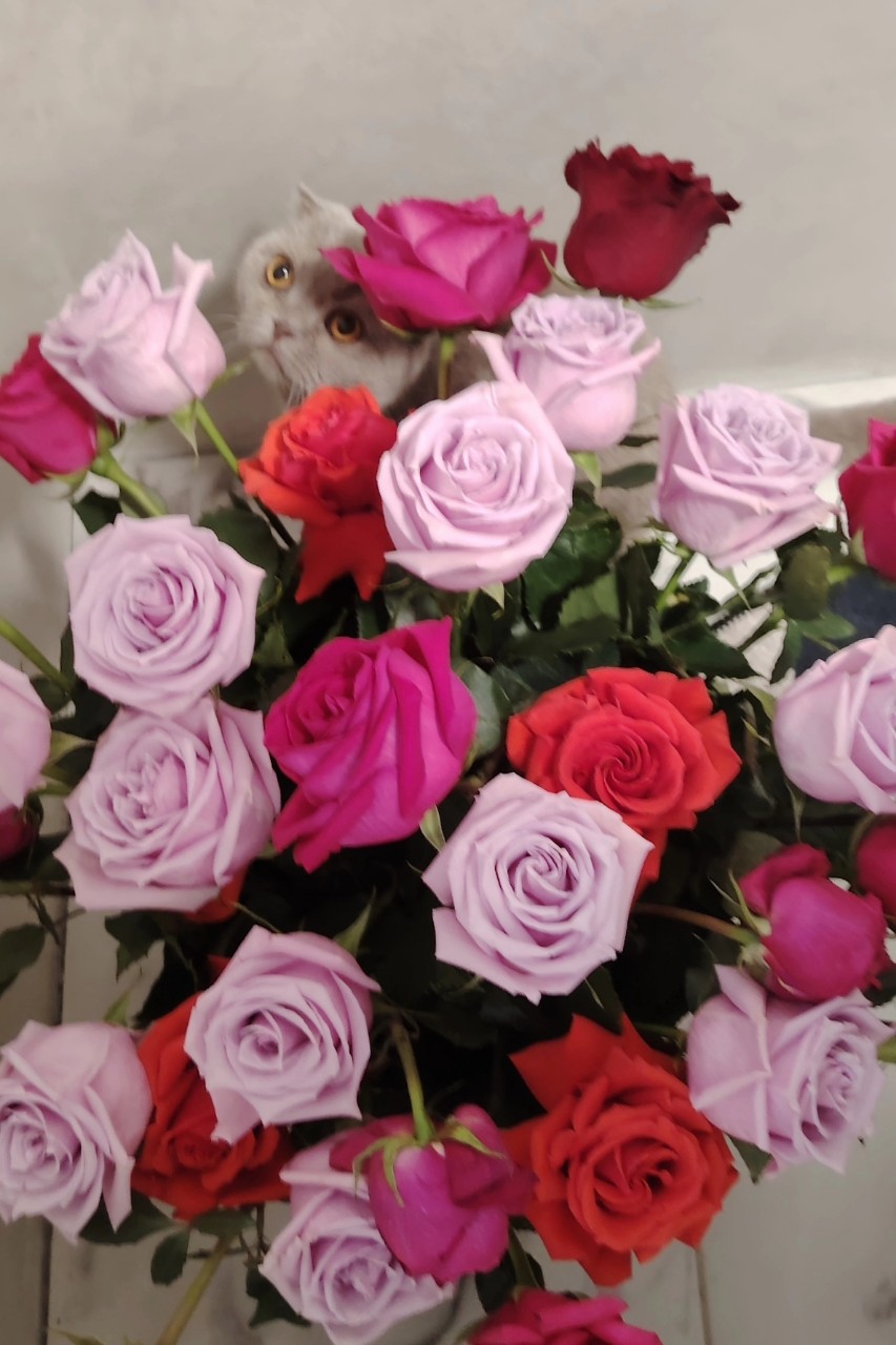 elenaoleinik2569 in LOOKY. #приморскийкрай. #приморскийкрай