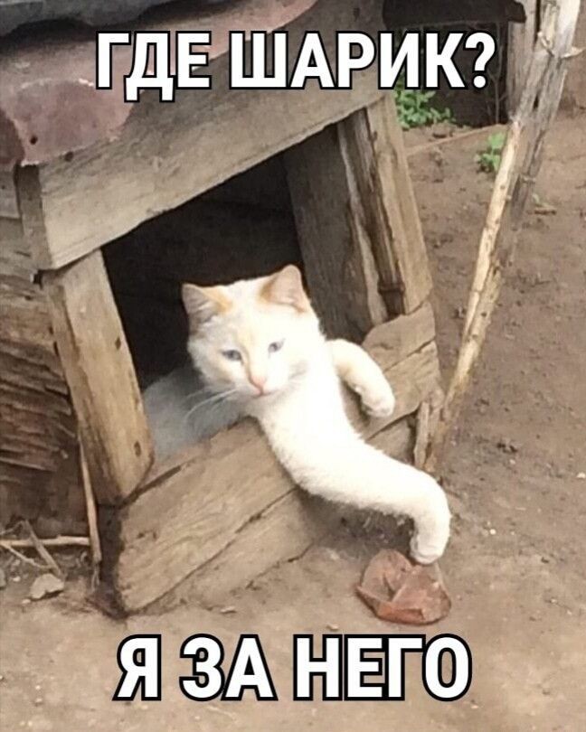 Сумеречный Сон в LOOKY — публикация