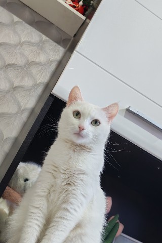 Looky_1701101074985 в LOOKY. . Чудесный день