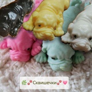 Сквишечки